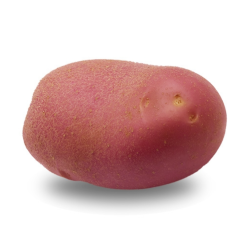 "Мемфис"® - uralsh.ru, Екатеринбург