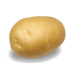 "Сагитта"® (патент № 5751) - uralsh.ru, Екатеринбург